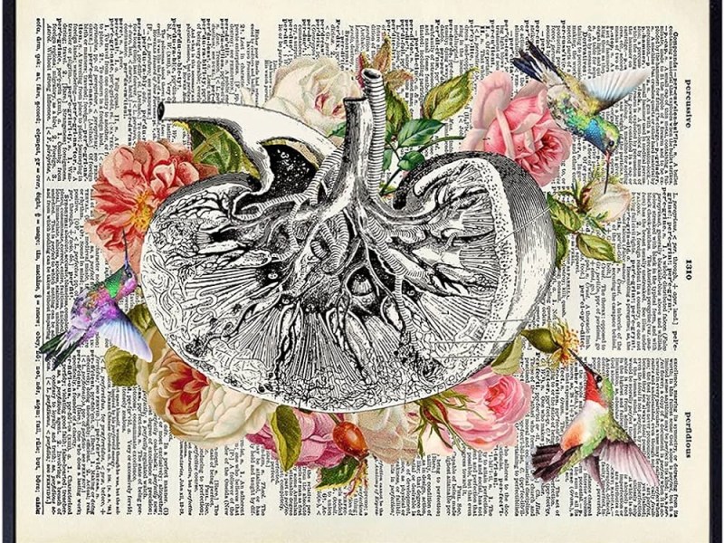Kidney Punch