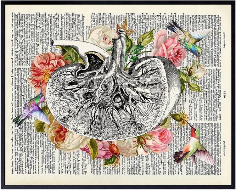 Kidney Punch